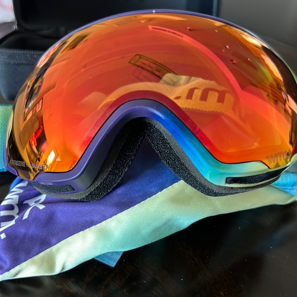 WM1 goggles from Anon